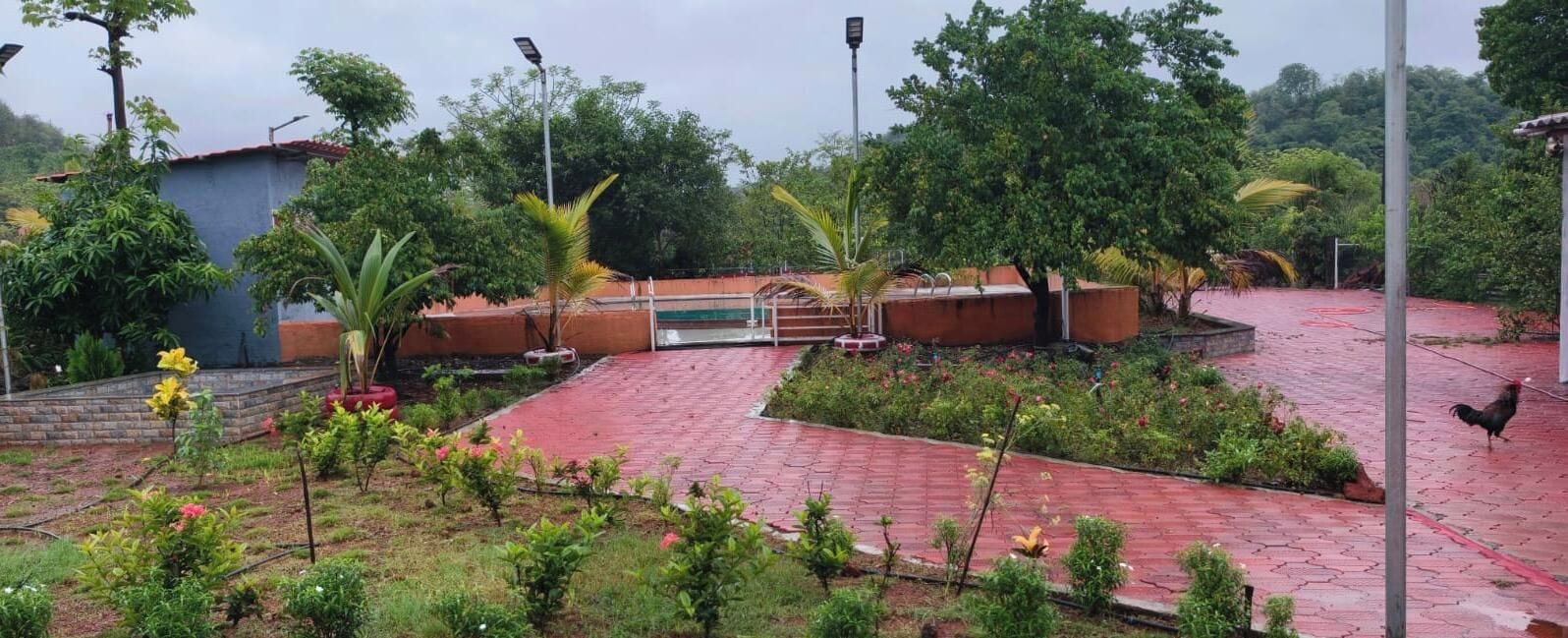 A garden area with a paved walkway, a small bridge, and various plants and flowers.