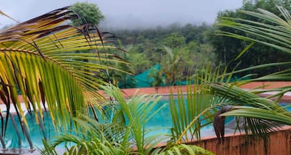 Nirvi Farms