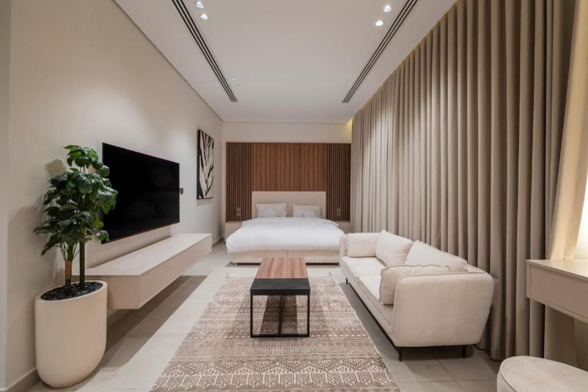 Un dormitorio moderno con una cama, un sofá, un televisor y una planta en maceta.