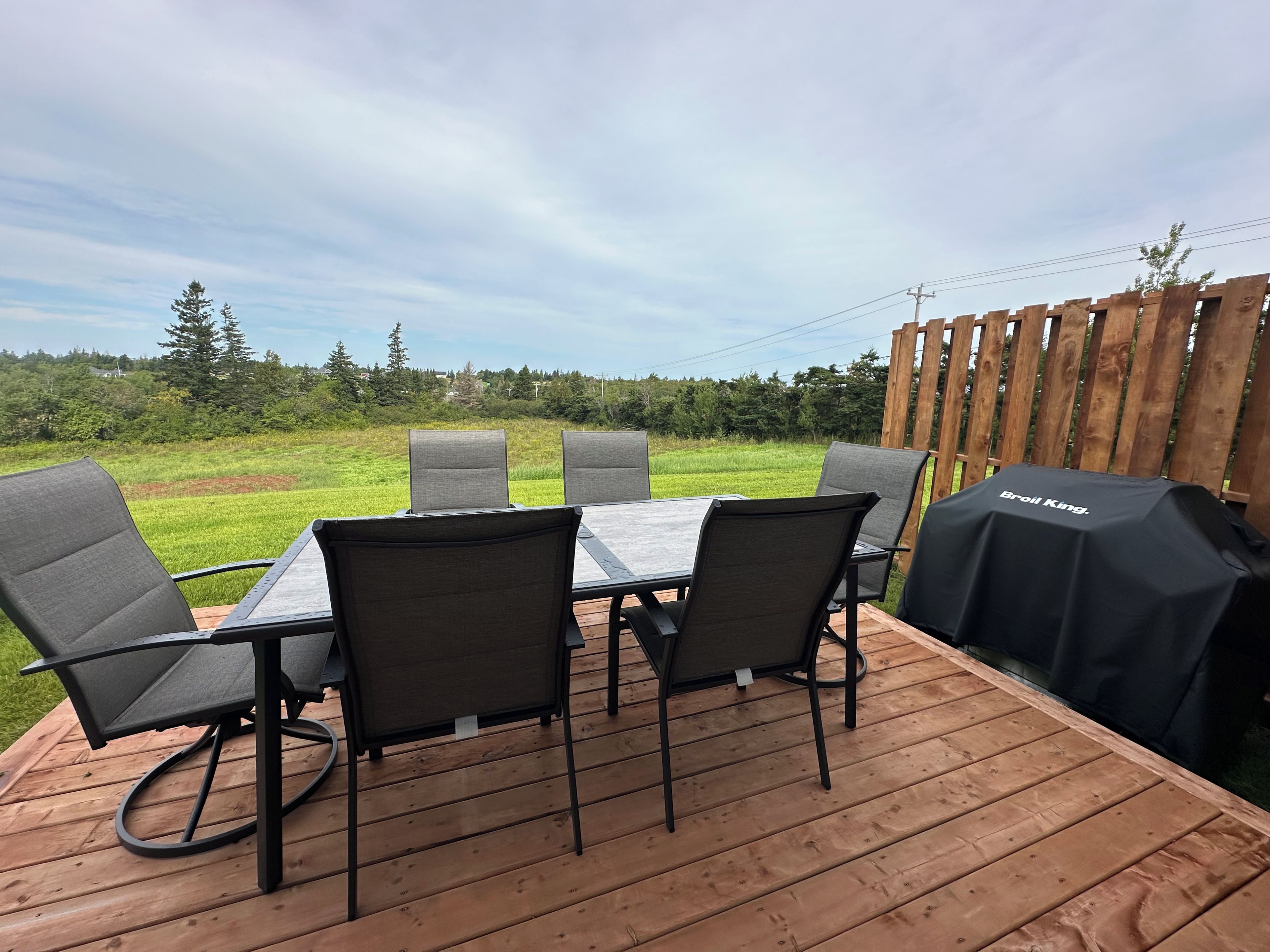 Ein Essbereich im Freien mit Tisch und Stühlen, einem Grill und Blick auf ein Wiesenfeld.