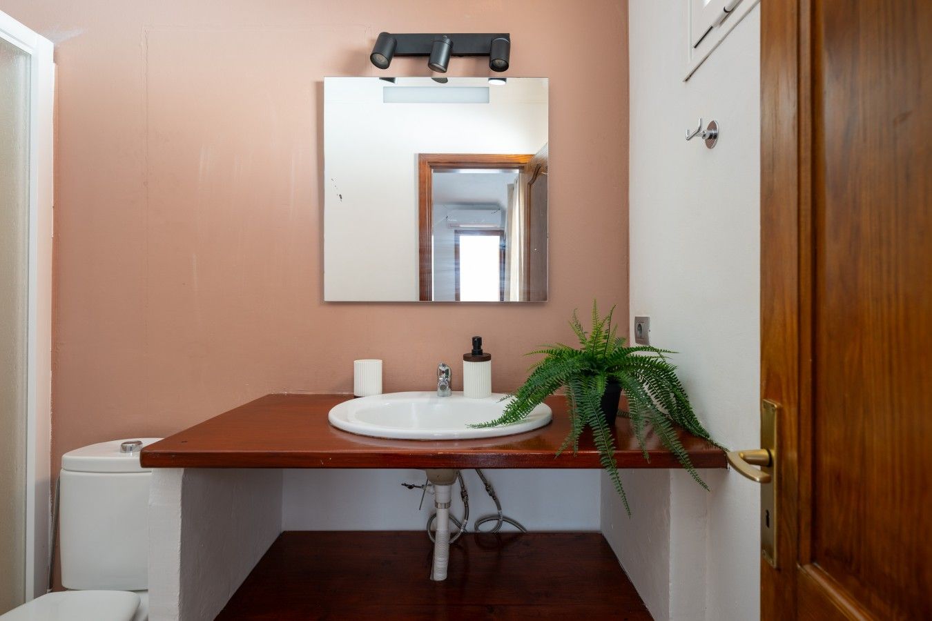 A bathroom with a wooden vanity, a white sink, a mirror, a toilet, and a potted plant.