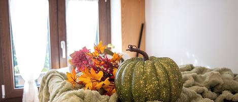 A cozy room with a large window, a plush green blanket, and a decorative pumpkin.