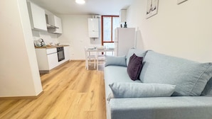 Un apartamento moderno con kitchenette, comedor y sala de estar con sofá gris.