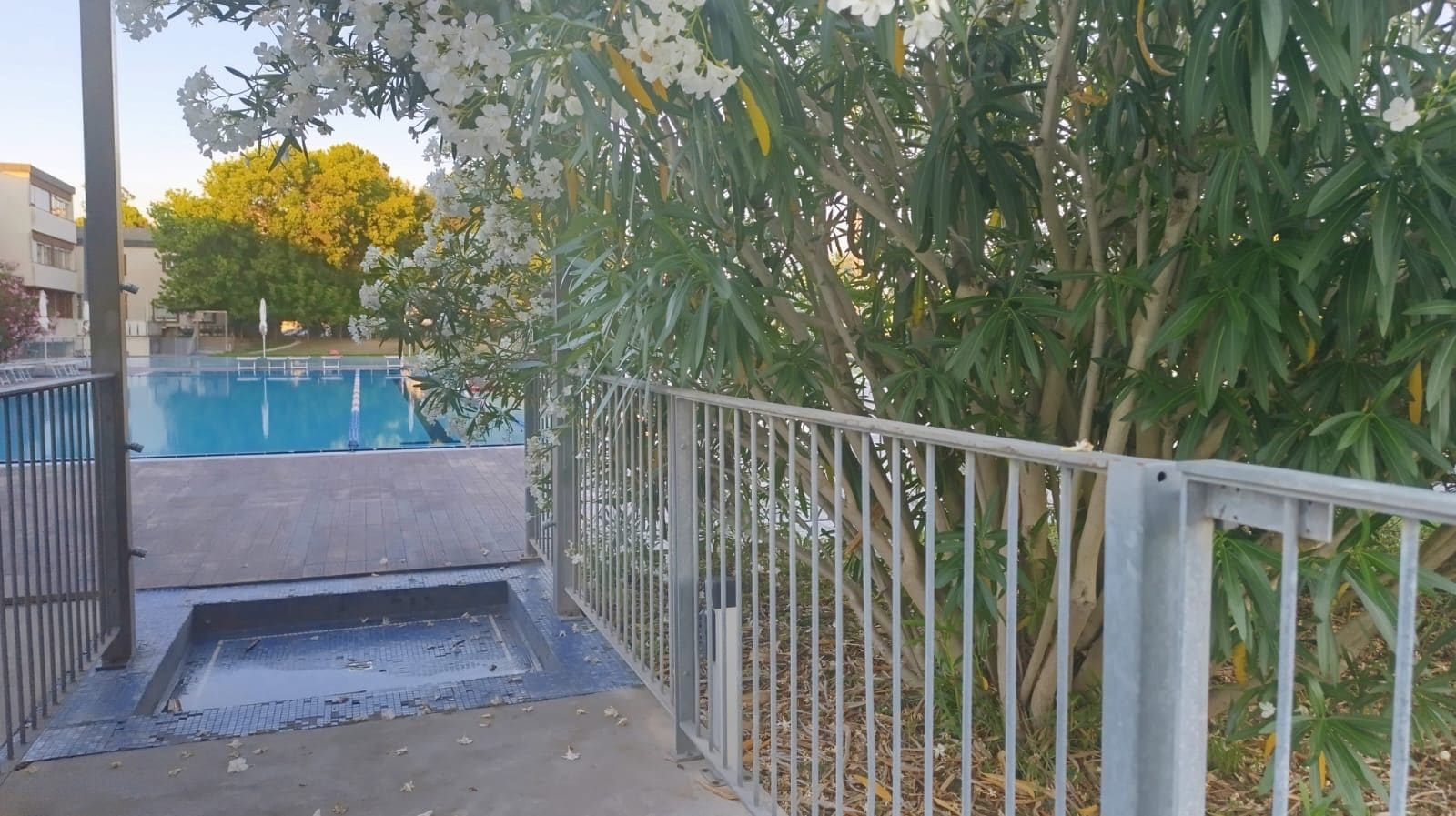 A swimming pool with a metal fence, surrounded by lush greenery and trees.