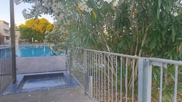 A swimming pool with a metal fence, surrounded by lush greenery and trees.
