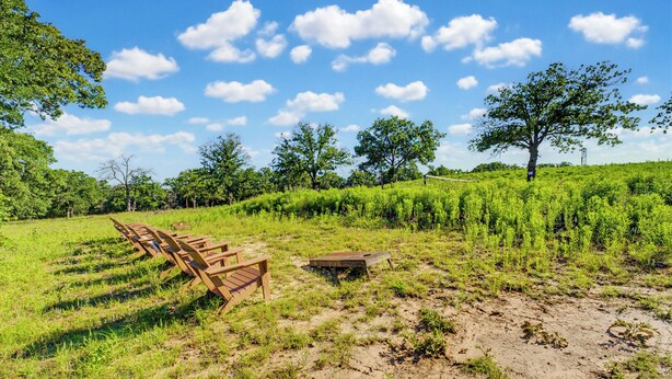 A field with wooden benches and a wooden structure, surrounded by greenery and trees under a clear sky. - Serene 1-bedroom treehouse cabin with AC in the LBJ Grasslands (Alvord)