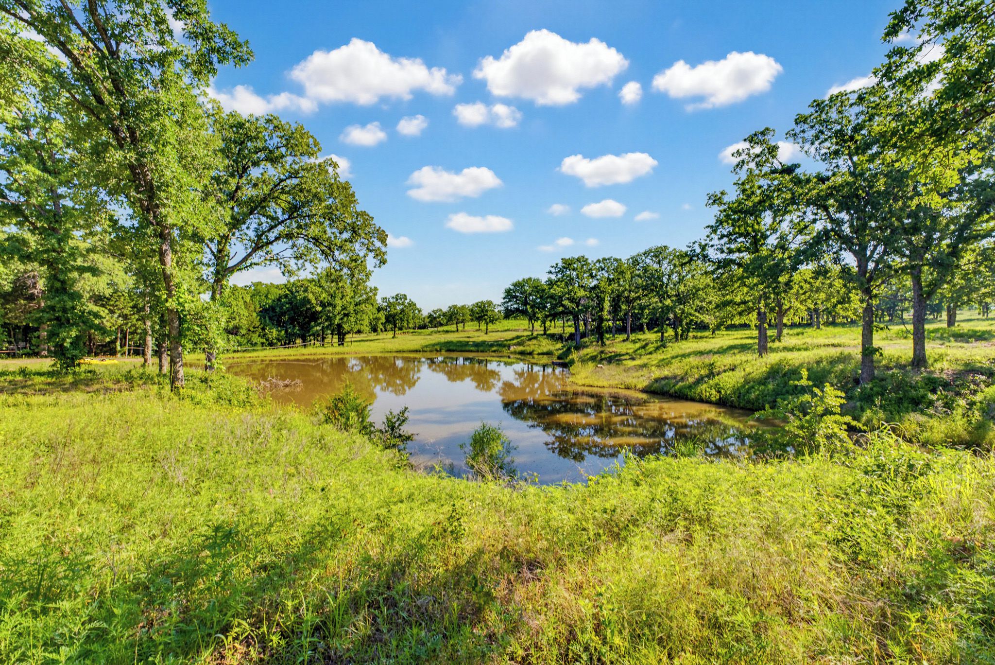 A natural landscape with a pond, trees, and a clear sky.