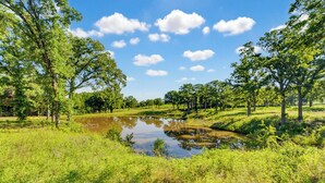 A natural landscape with a pond, trees, and a clear sky. - Serene 1-bedroom treehouse cabin with AC in the LBJ Grasslands (Alvord)