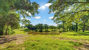 A natural landscape with a pond, trees, and a grassy area. - Serene 1-bedroom treehouse cabin with AC in the LBJ Grasslands (Alvord)