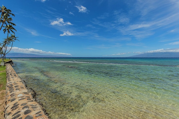 Une plage de sable fin avec une promenade en pierre, des palmiers et une vue sur l’océan.