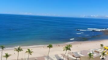 Uma praia com palmeiras, costa arenosa e oceano azul cristalino.