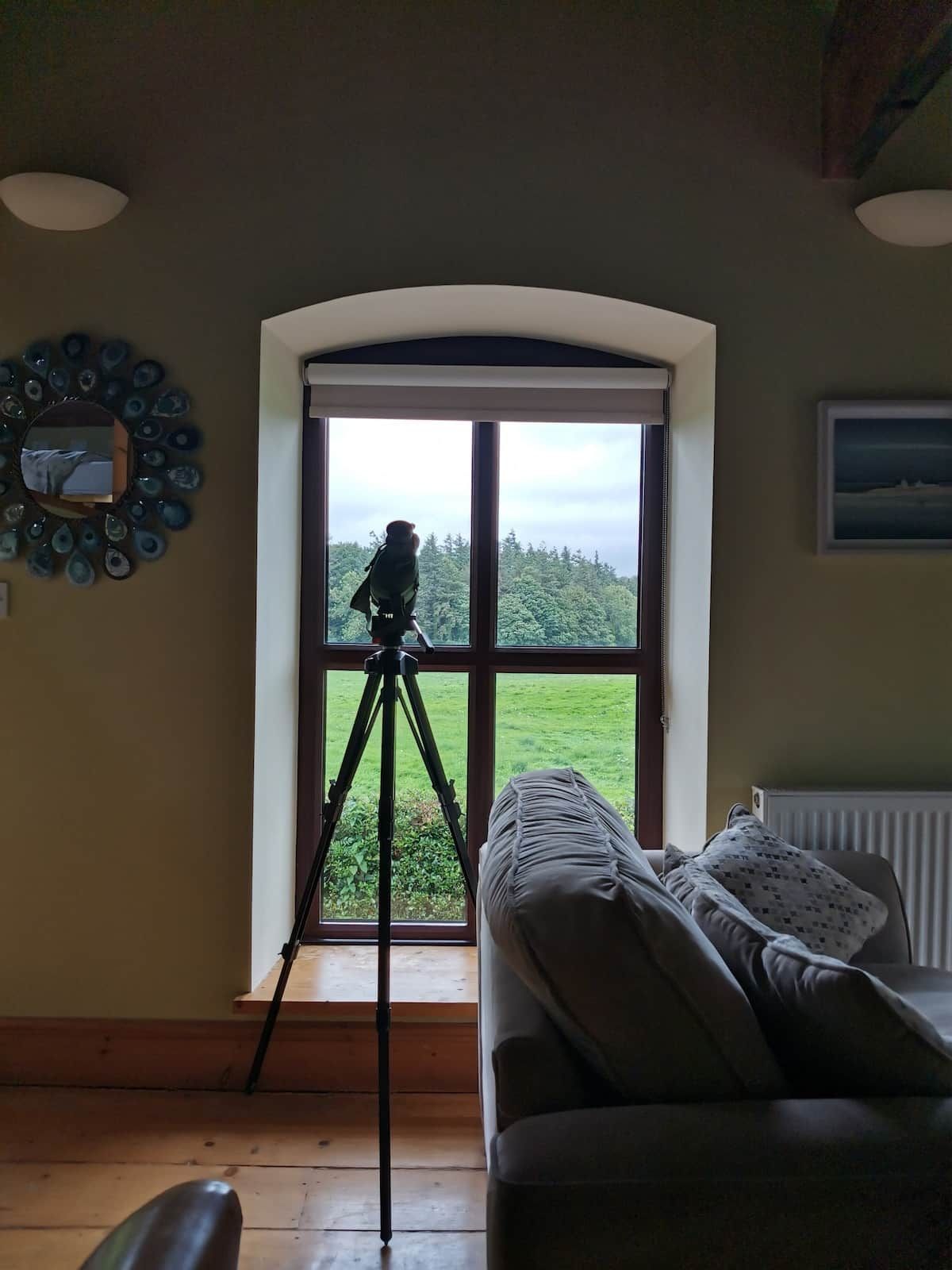 A room with a tripod-mounted camera, a sofa, and a large window with a view of greenery.