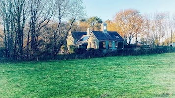 Eksteriør