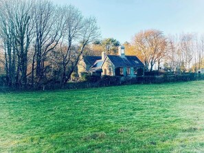 Uma casa com telhado inclinado, cercada por um campo verde e árvores.