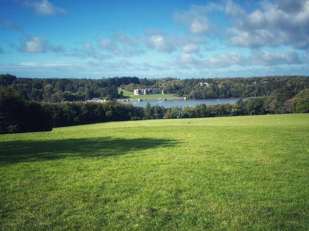A grassy field with a lake and buildings in the distance.