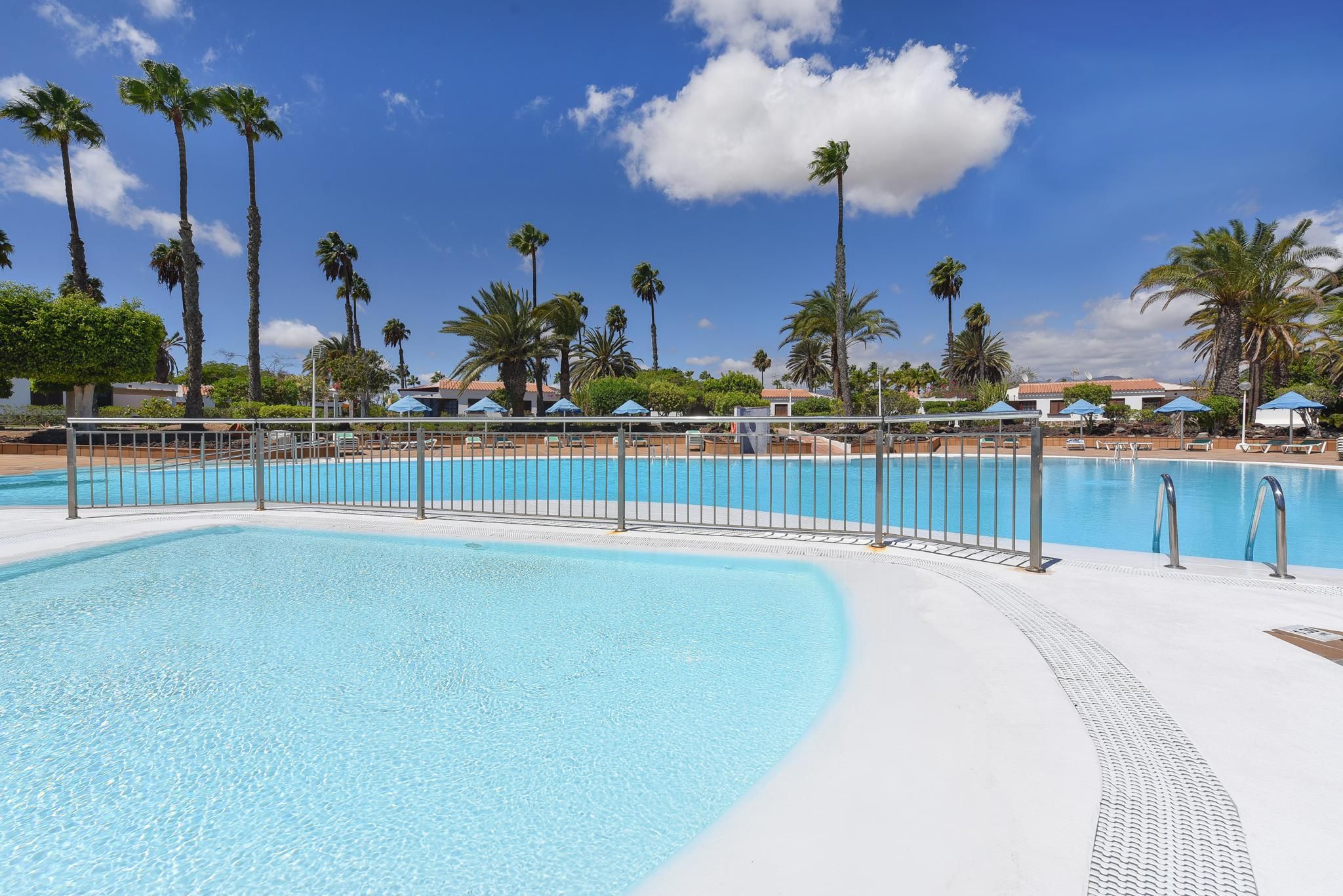 Une piscine à l’eau d’un bleu cristallin, entourée d’une clôture métallique, avec des palmiers en arrière-plan.