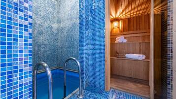 A bathroom with a blue-tiled shower enclosure, a wooden sauna area, and a metal ladder leading into the shower.