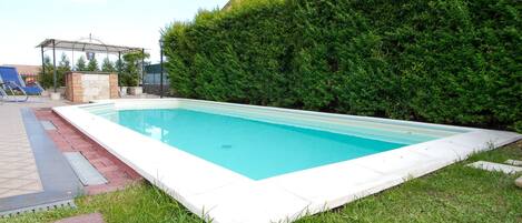 A rectangular swimming pool with a white edge, surrounded by grass and a hedge.