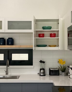 Una cocina moderna con armarios blancos, un lavamanos de acero inoxidable, una licuadora y una planta en maceta.