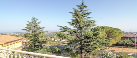 A balcony with a view of a residential area, including houses and trees.