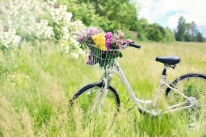 A stationary bicycle with a basket of flowers in a grassy field.