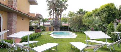 Un patio trasero con piscina, rodeado de césped verde y palmeras.