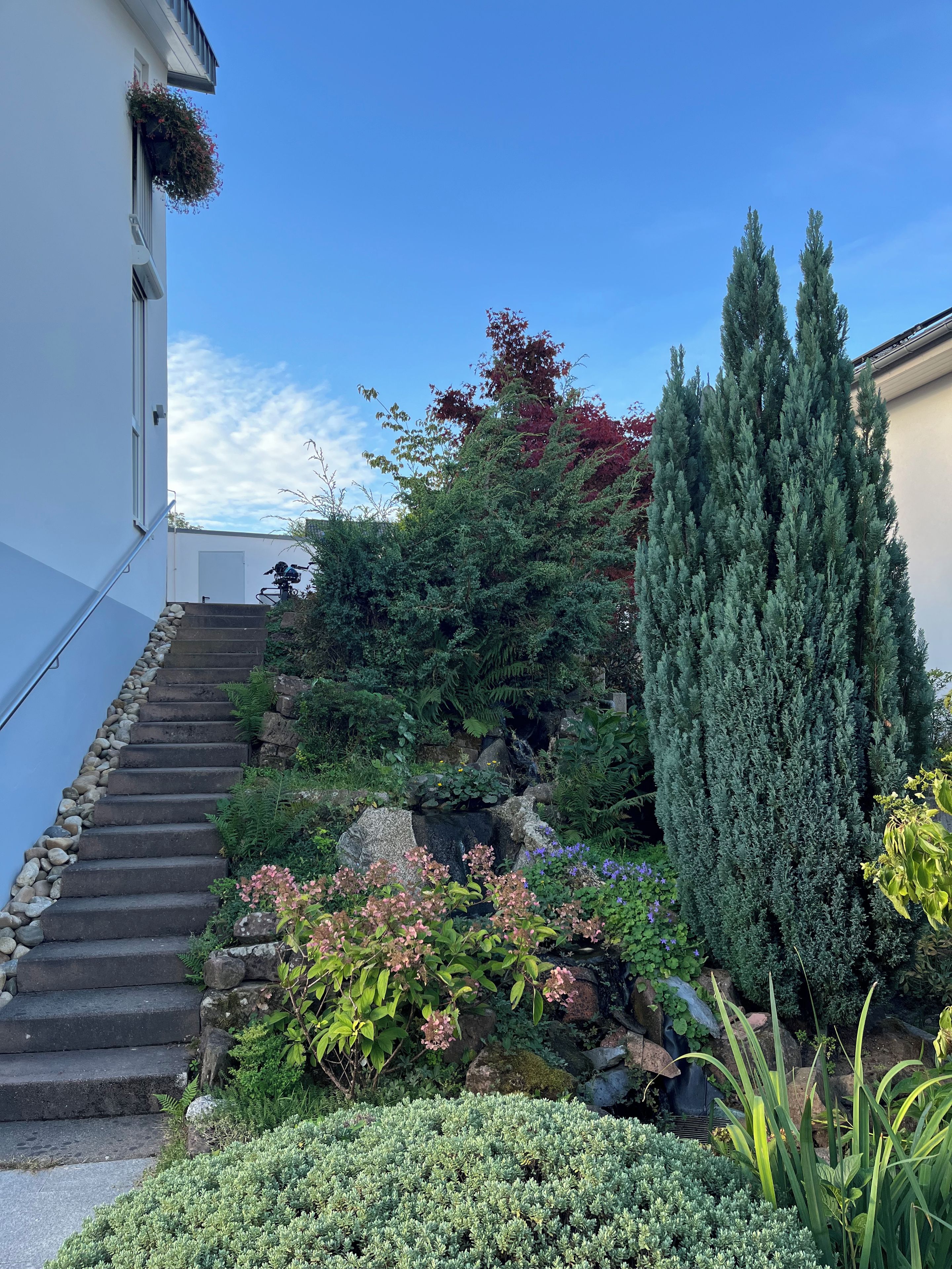 Una escalera conduce a un edificio de fachada blanca, rodeado de exuberante vegetación y plantas diversas.