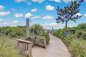 A wooden boardwalk winds through coastal dunes and native grasses, leading to an observation deck overlooking the ocean—your gateway to peaceful beach days and scenic shoreline walks.