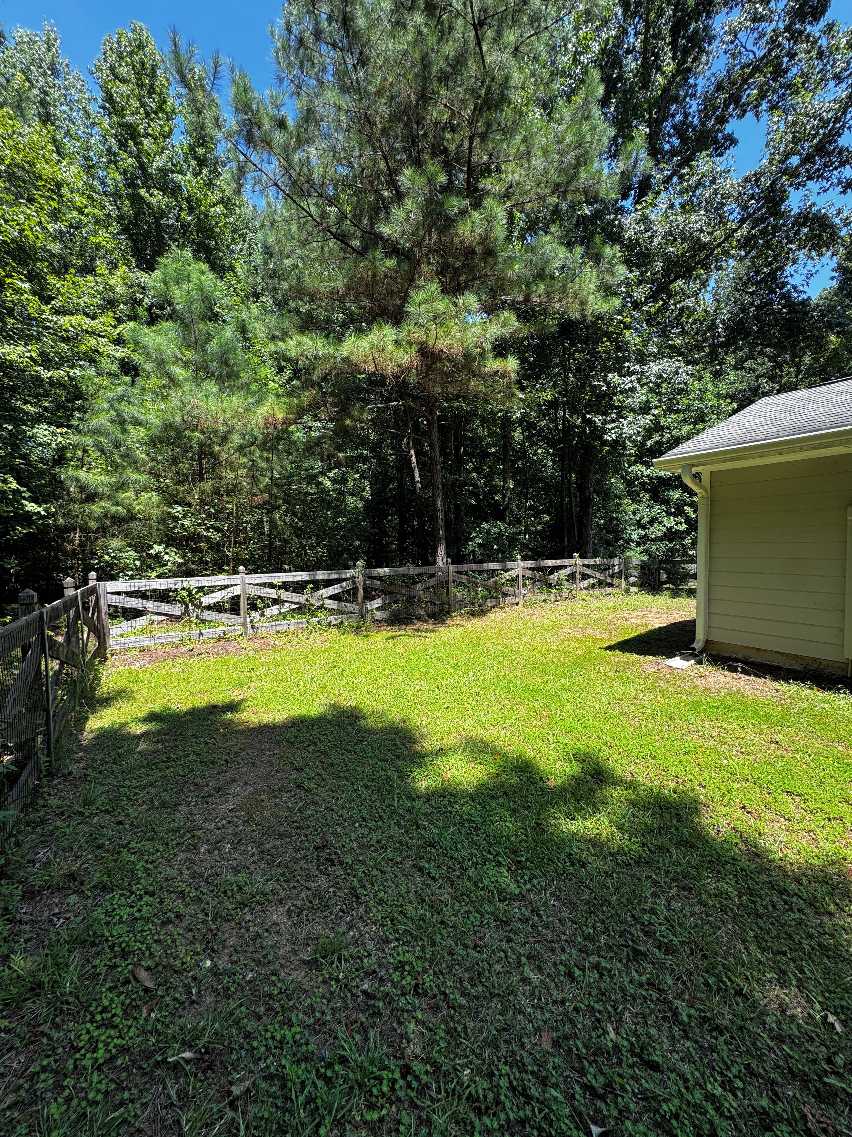 A fenced yard with a small shed, surrounded by dense trees and grass.