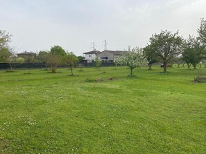 Eine Wiese mit einigen Bäumen und einem Gebäude im Hintergrund.