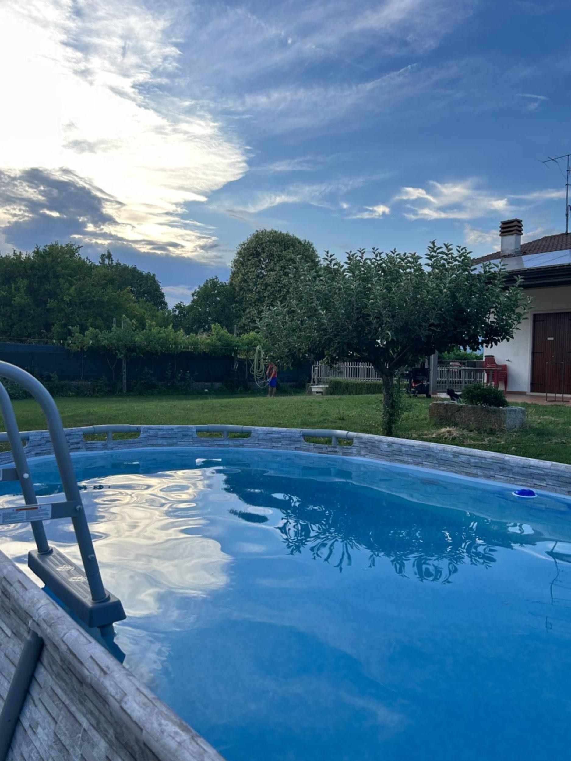 En swimmingpool med en stege, omgiven av en gräsyta och träd.