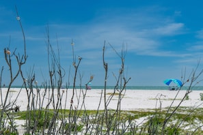 A beach with sparse vegetation and clear skies. - Salty Seahorse (Fort Myers Beach)