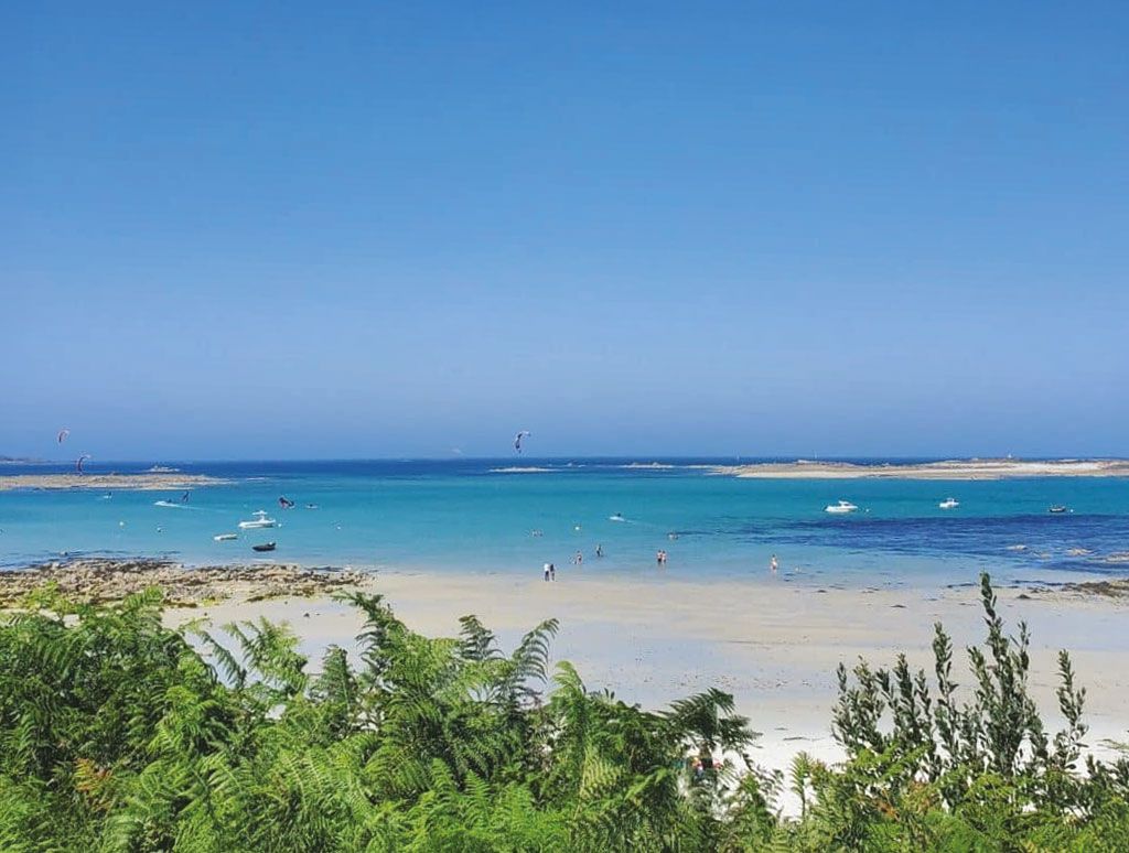 A beach with clear blue water, sandy shore, and some vegetation in the foreground.