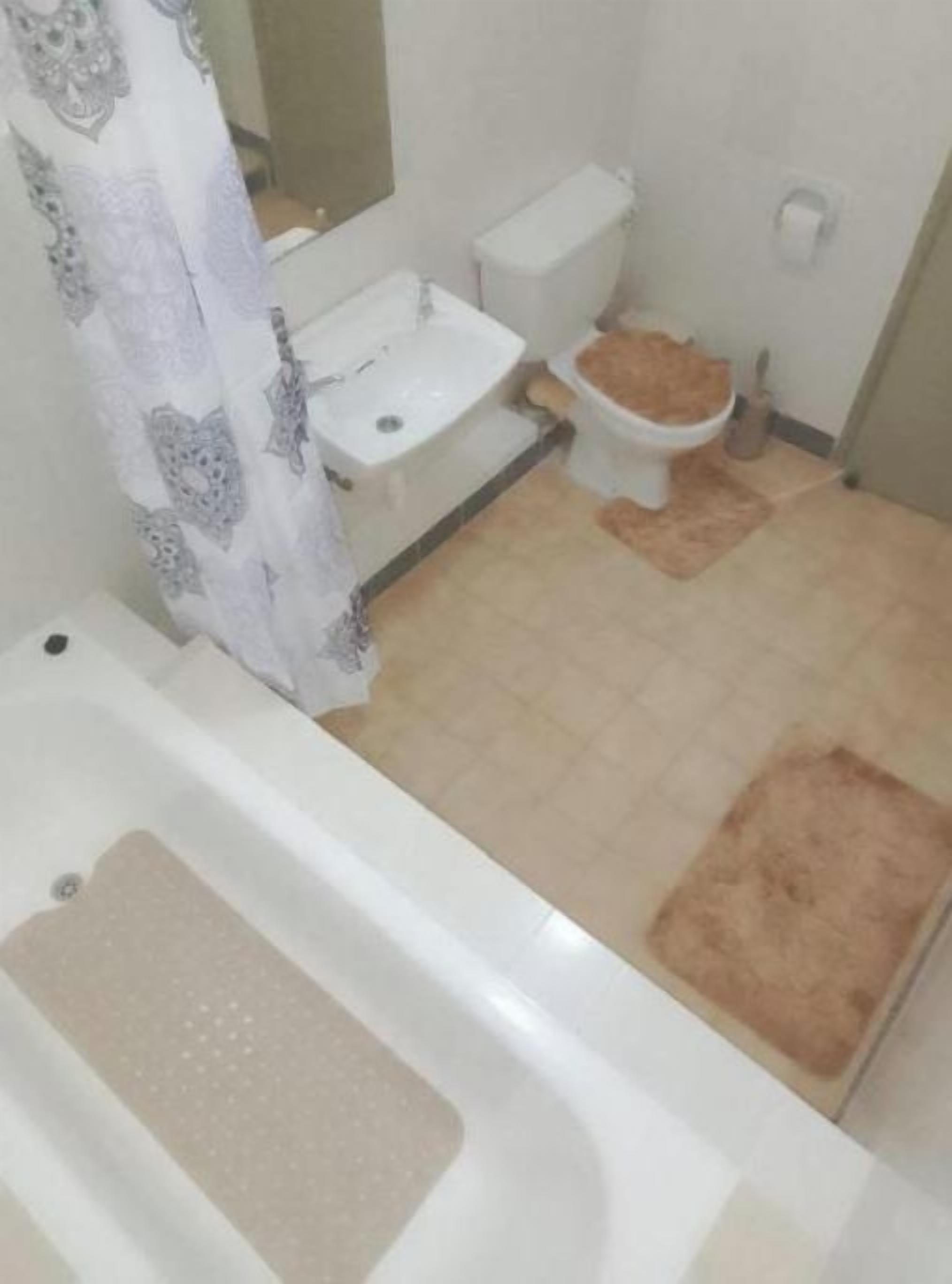 Shower, soap, toilet paper