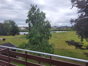 A grassy field with cows grazing, a body of water, and houses in the background.