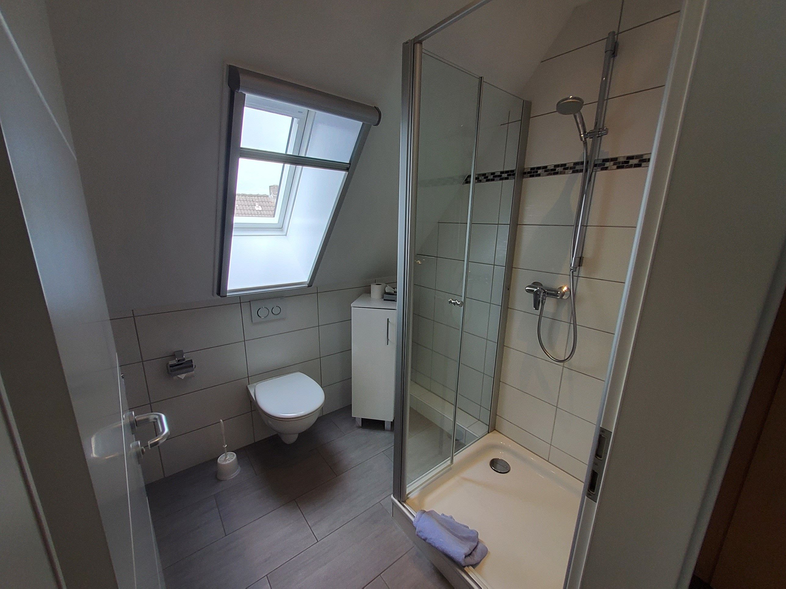 Un baño con inodoro, ducha y tragaluz.