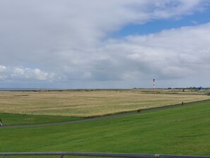 A wide-open field with a clear sky and a distant horizon. - Room 'Zum Elbblick - Einzelzimmer Nr.15' with Shared Terrace and Wi-Fi (Otterndorf)
