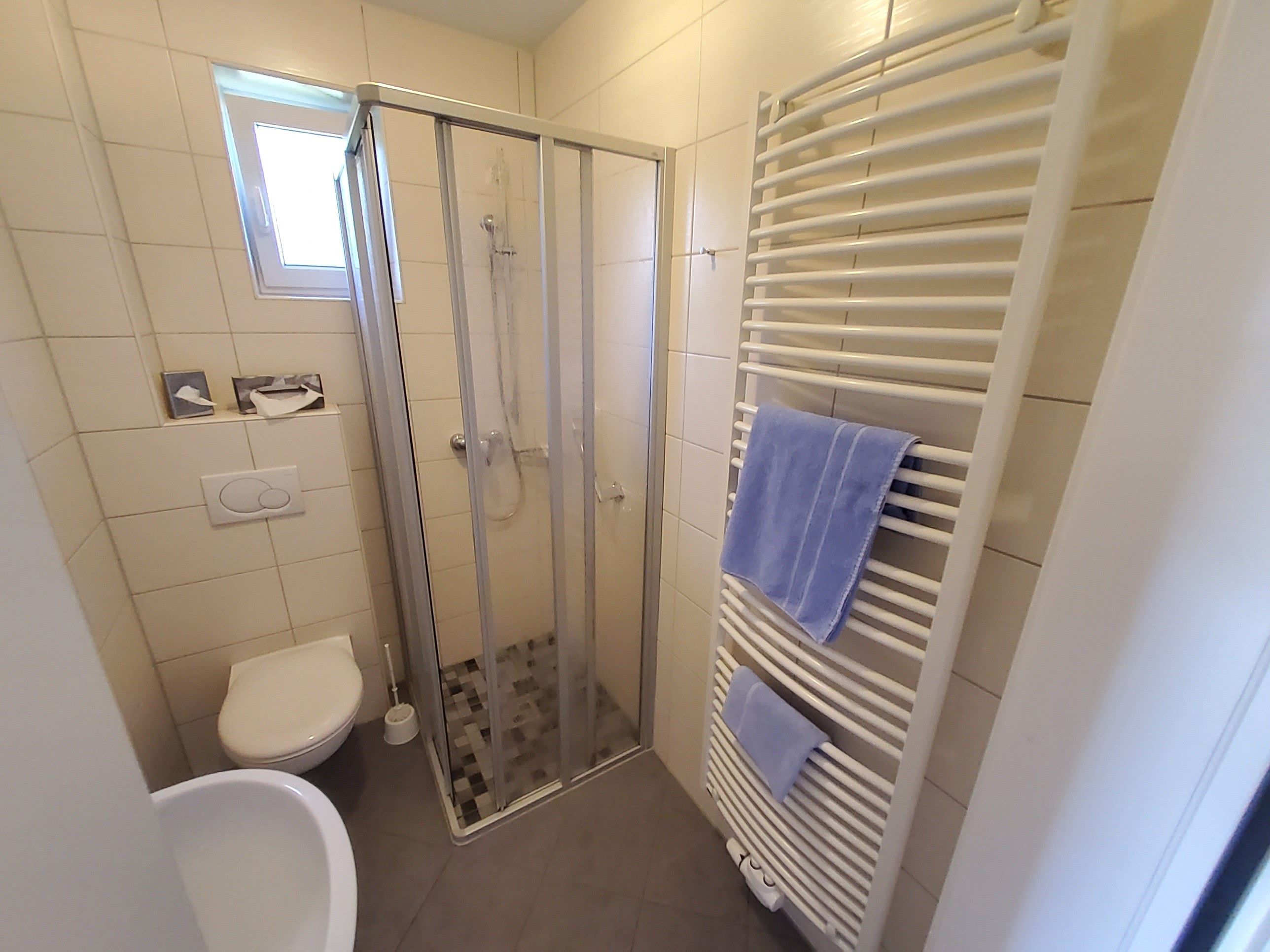A bathroom with a glass-enclosed shower, a toilet, and a towel rack.