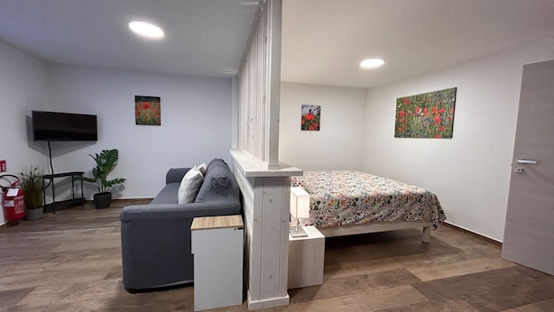 Habitació compacta amb llit, sofà llit, televisió i taula petita.