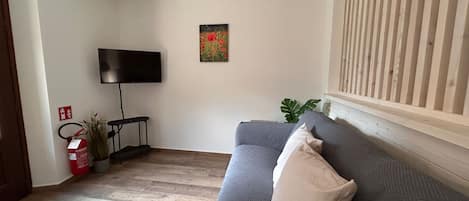 Un salon avec un canapé gris, un téléviseur à écran plat, un petit tableau, un extincteur et une plante en pot.