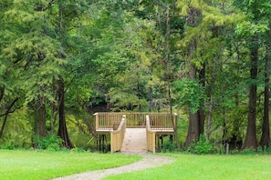 A wooden footbridge over a pond in a wooded area. - Spring Lakeview Retreat Near the Airport (Spring)