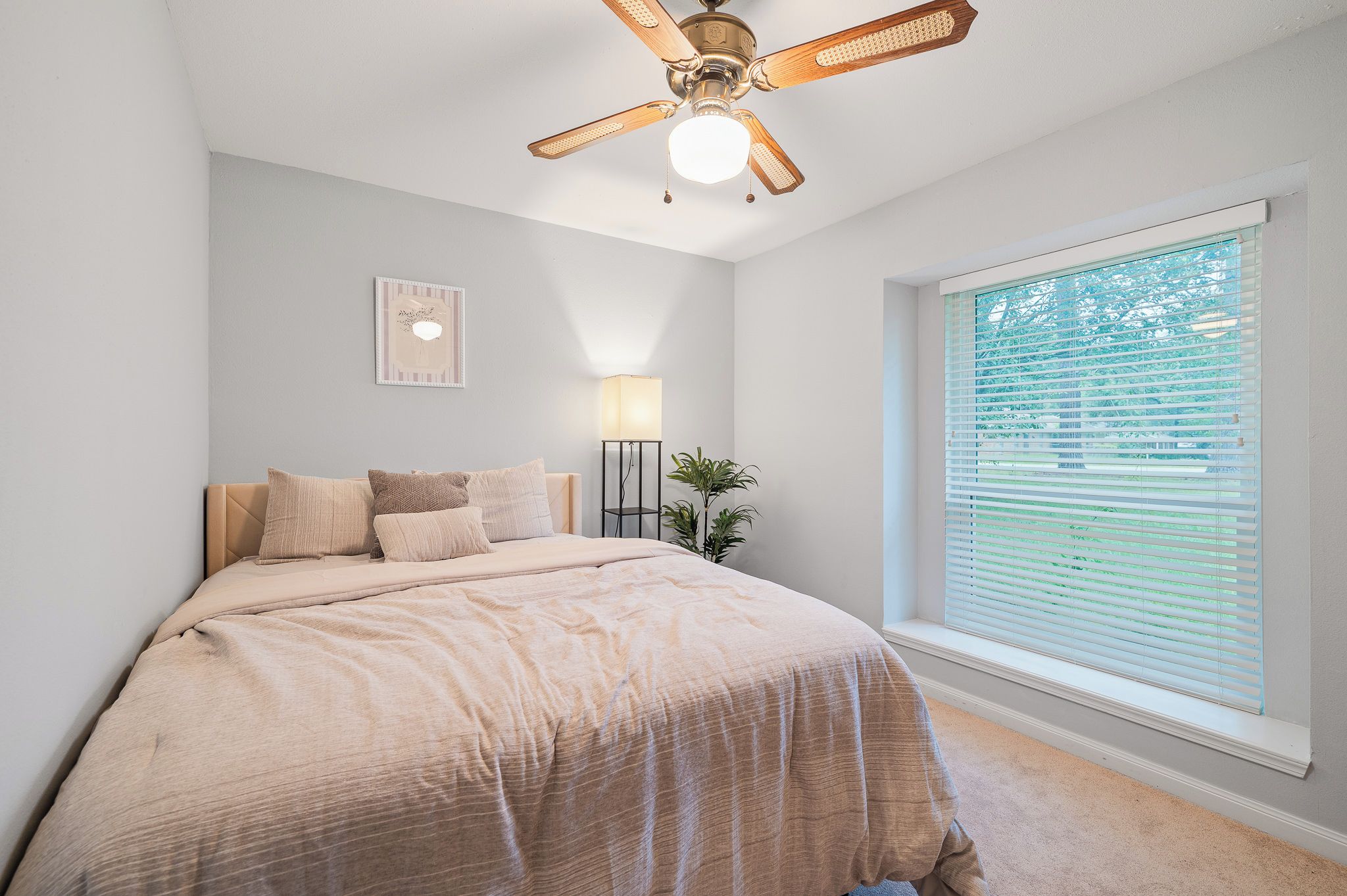 A bedroom with a bed, a ceiling fan, a bedside lamp, a window with blinds, and a framed picture on the wall.