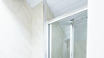 Shower, towels, toilet paper