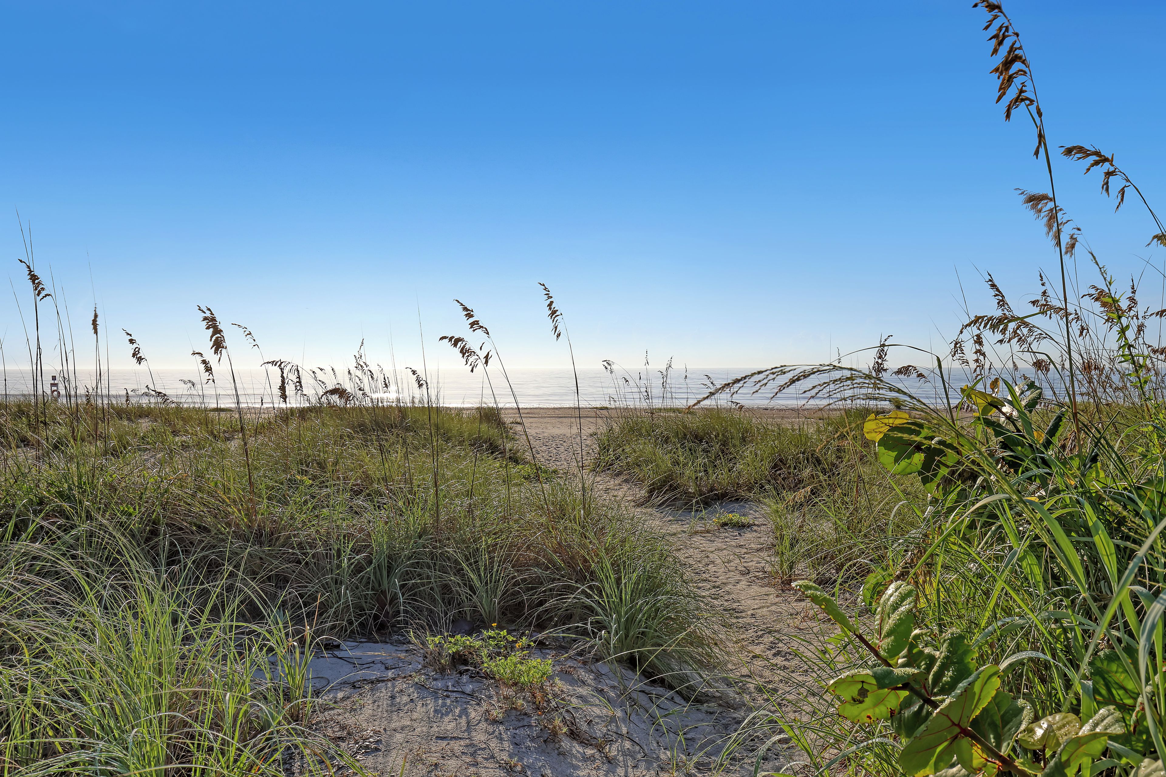 Strand