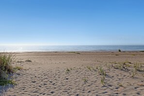 A sandy beach with sparse vegetation and a clear sky. - OUTSTANDING Location!  High-end 2/1 On The Beach, Close To The Port & Pier! (Cocoa Beach)