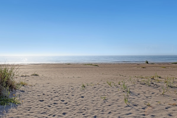 Una playa arenosa con vegetación escasa y cielo despejado.