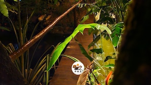 A wooden pathway surrounded by lush greenery and string lights.