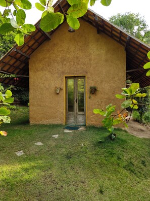Un edificio rústico con una puerta de madera, dos plantas en macetas y un patio cubierto de césped.