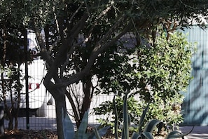 A tree with dense foliage in front of a metal fence, with a building in the background. - Holiday Home 'Le Rêve D'enfant' with Private Pool, WiFi, and Air Conditioning (Narbonne)
