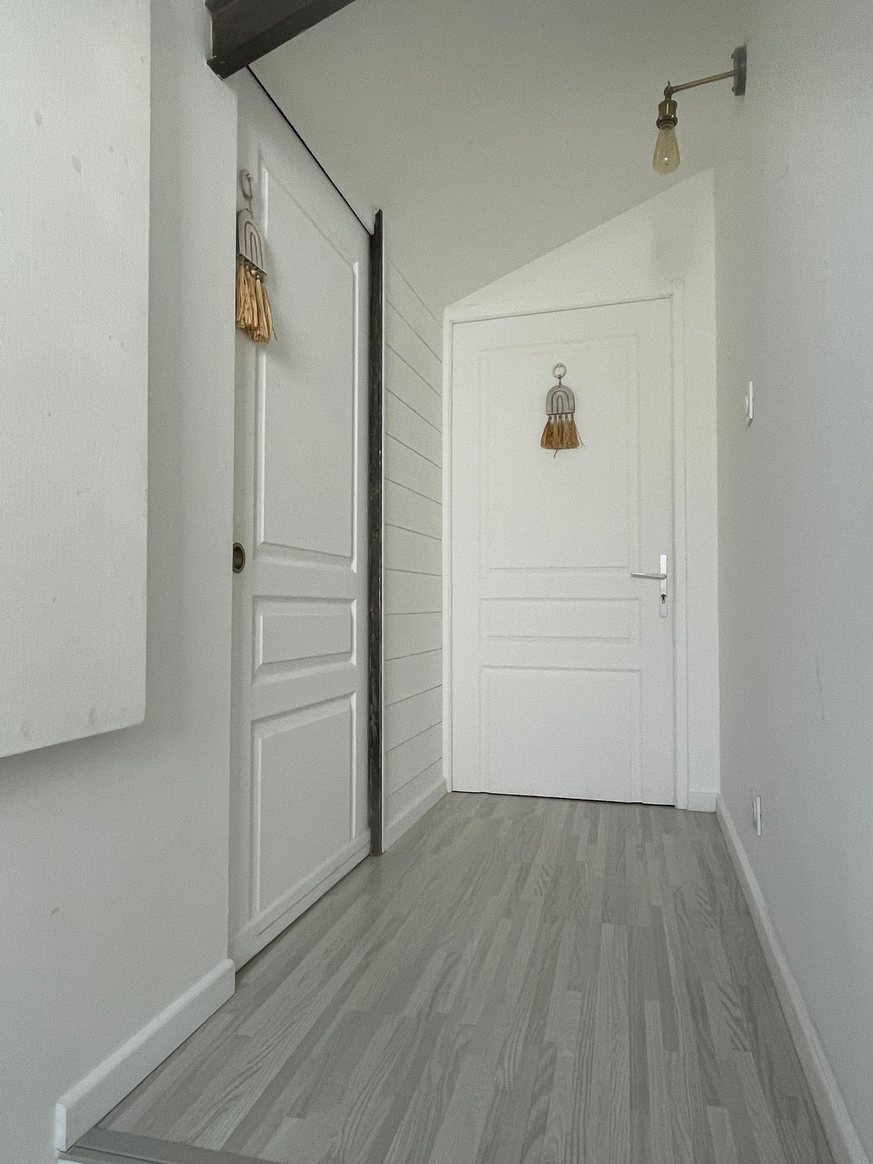 A hallway with a white door, a light fixture, and a hanging decoration.